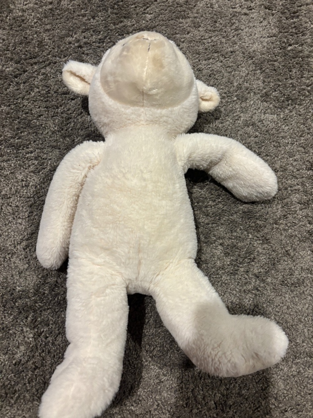 Magnetic lamb!